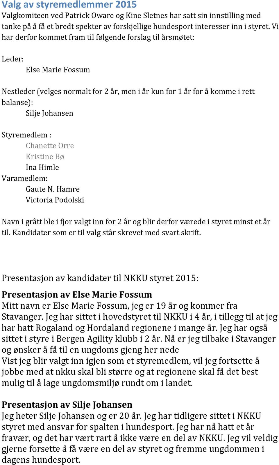 : Chanette Orre Kristine Bø Ina Himle Varamedlem: Gaute N. Hamre Victoria Podolski Navn i grått ble i fjor valgt inn for 2 år og blir derfor værede i styret minst et år til.