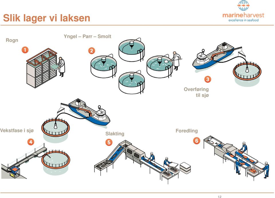 Overføring til sjø