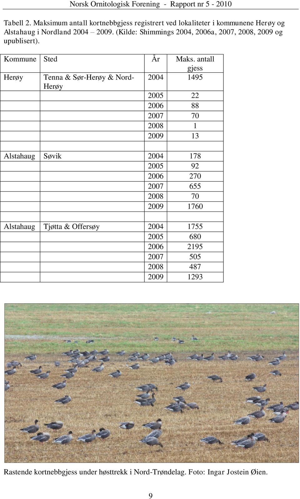 antall gjess Herøy Tenna & Sør-Herøy & Nord- 2004 1495 Herøy 2005 22 2006 88 2007 70 2008 1 2009 13 Alstahaug Søvik 2004 178 2005 92