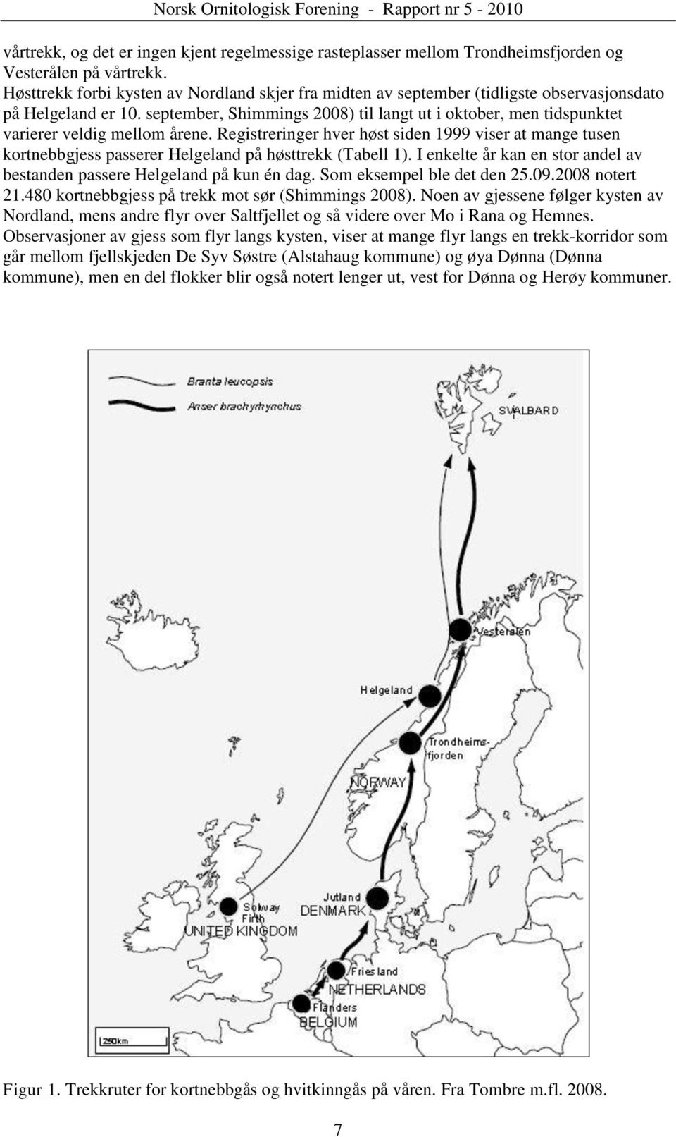 september, Shimmings 2008) til langt ut i oktober, men tidspunktet varierer veldig mellom årene.