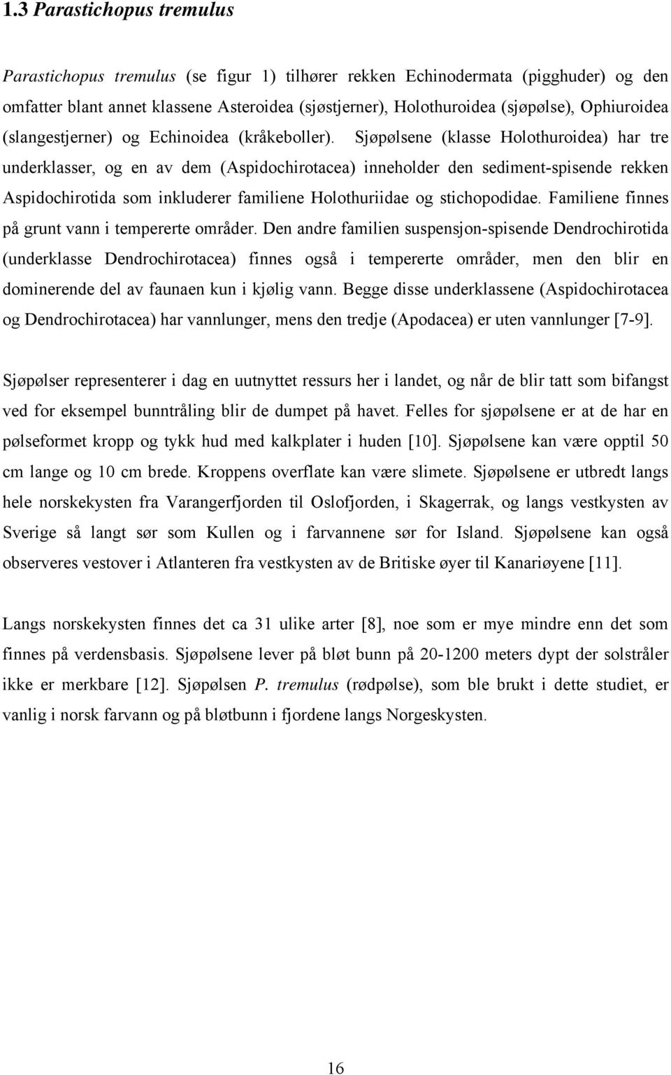 Sjøpølsene (klasse Holothuroidea) har tre underklasser, og en av dem (Aspidochirotacea) inneholder den sediment-spisende rekken Aspidochirotida som inkluderer familiene Holothuriidae og stichopodidae.