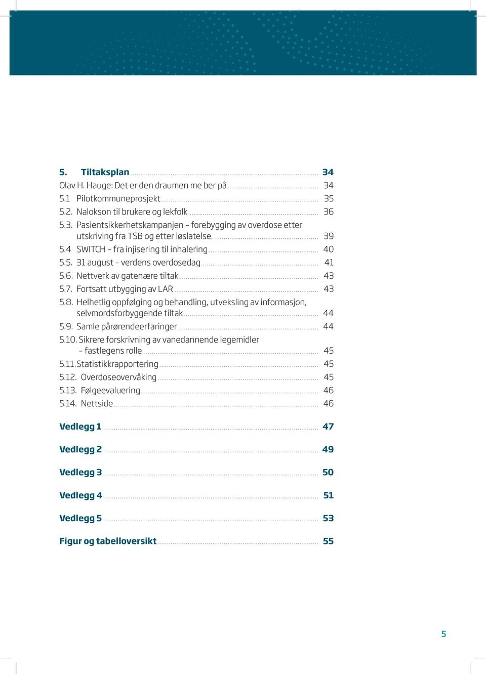 .. 41 5.6. Nettverk av gatenære tiltak... 43 5.7. Fortsatt utbygging av LAR... 43 5.8. Helhetlig oppfølging og behandling, utveksling av informasjon, selvmordsforbyggende tiltak... 44 5.9.