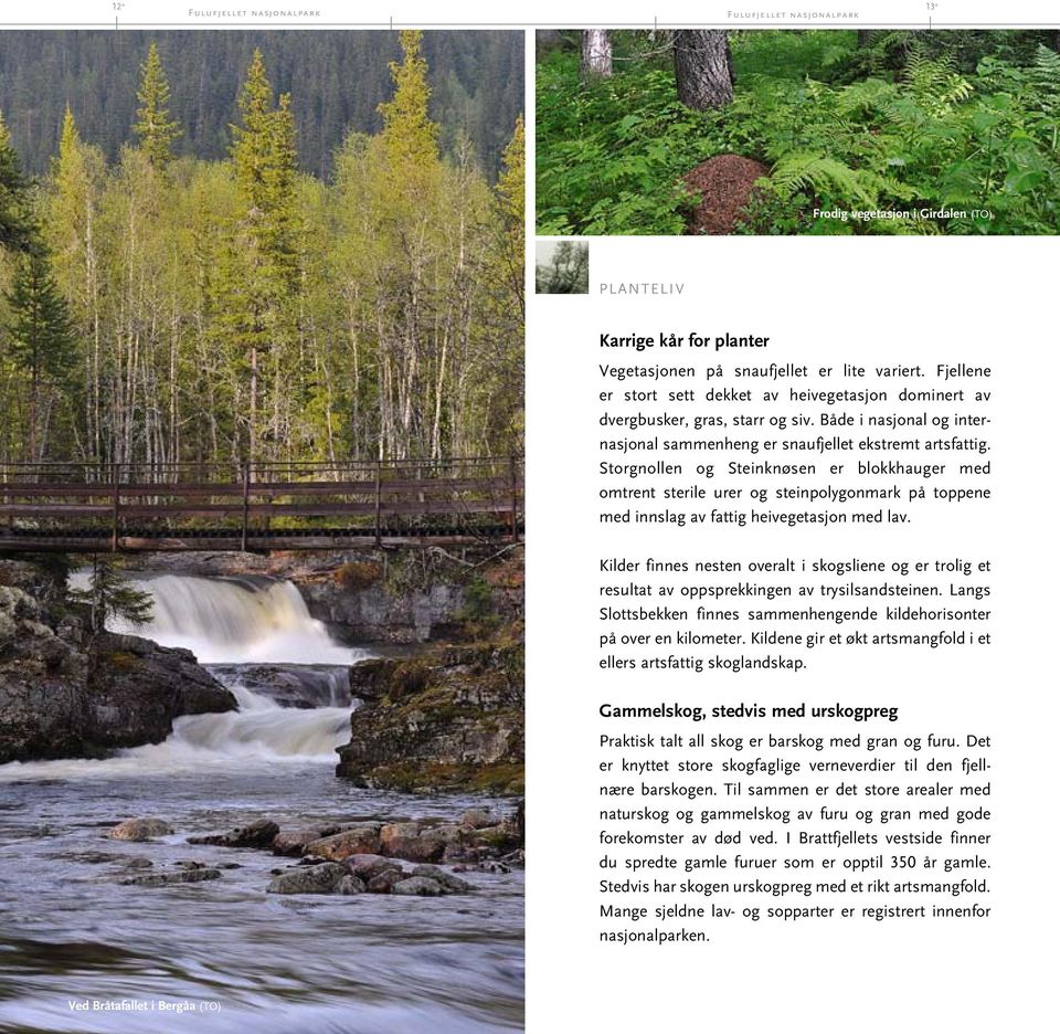 Storgnollen og Steinknøsen er blokkhauger med omtrent sterile urer og steinpolygonmark på toppene med innslag av fattig heivegetasjon med lav.