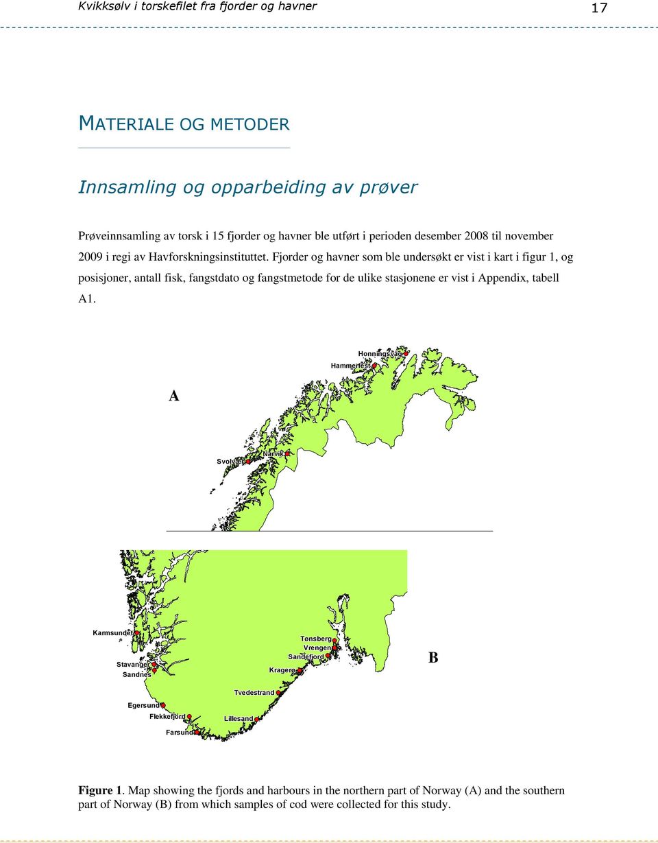 Fjorder og havner som ble undersøkt er vist i kart i figur 1, og posisjoner, antall fisk, fangstdato og fangstmetode for de ulike stasjonene er vist i Appendix, tabell A1.