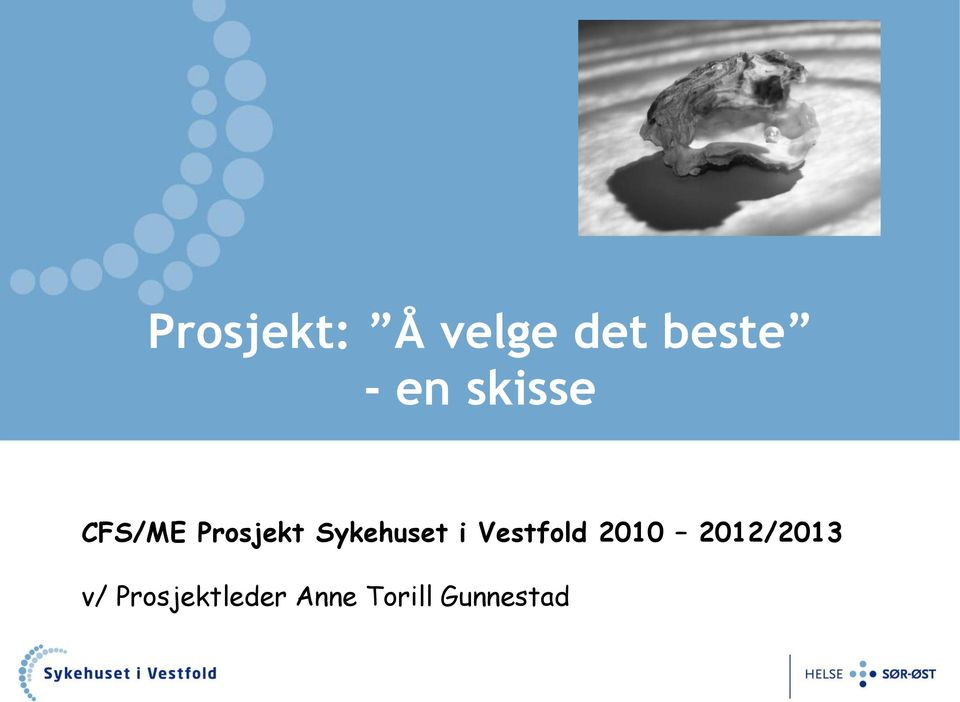 Prosjekt SiV 2010 2012 v/ Prosjektleder Anne