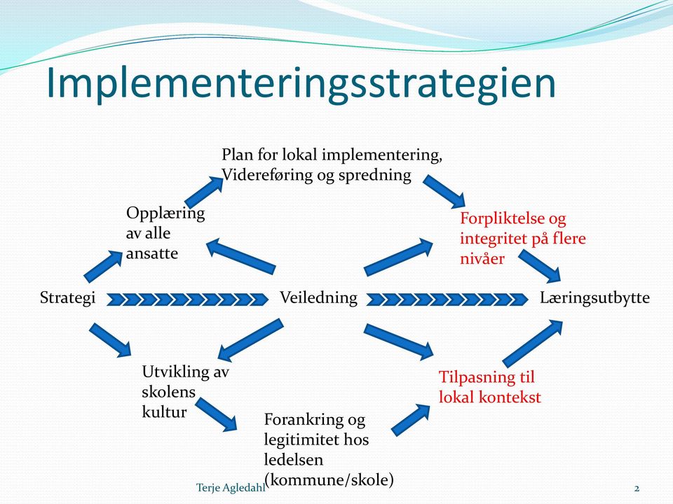 nivåer Strategi Veiledning Læringsutbytte Utvikling av skolens kultur