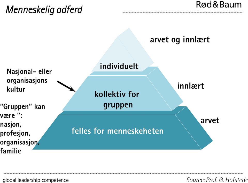 profesjon, organisasjon, familie individuelt kollektiv