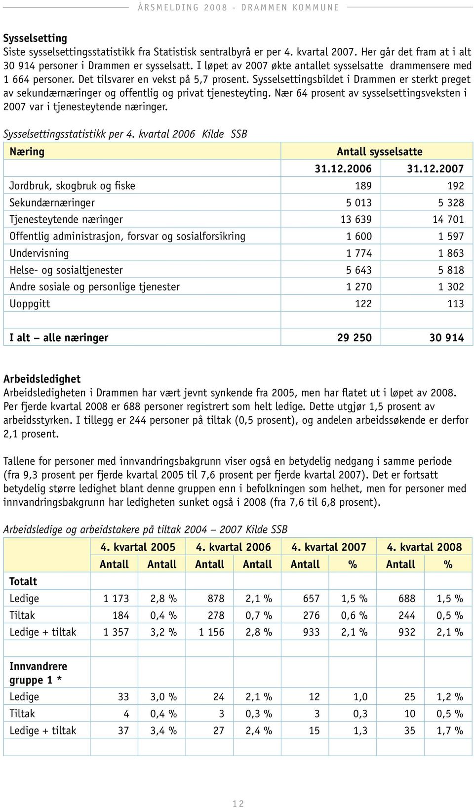 Sysselsettingsbildet i Drammen er sterkt preget av sekundærnæringer og offentlig og privat tjenesteyting. Nær 64 prosent av sysselsettingsveksten i 2007 var i tjenesteytende næringer.