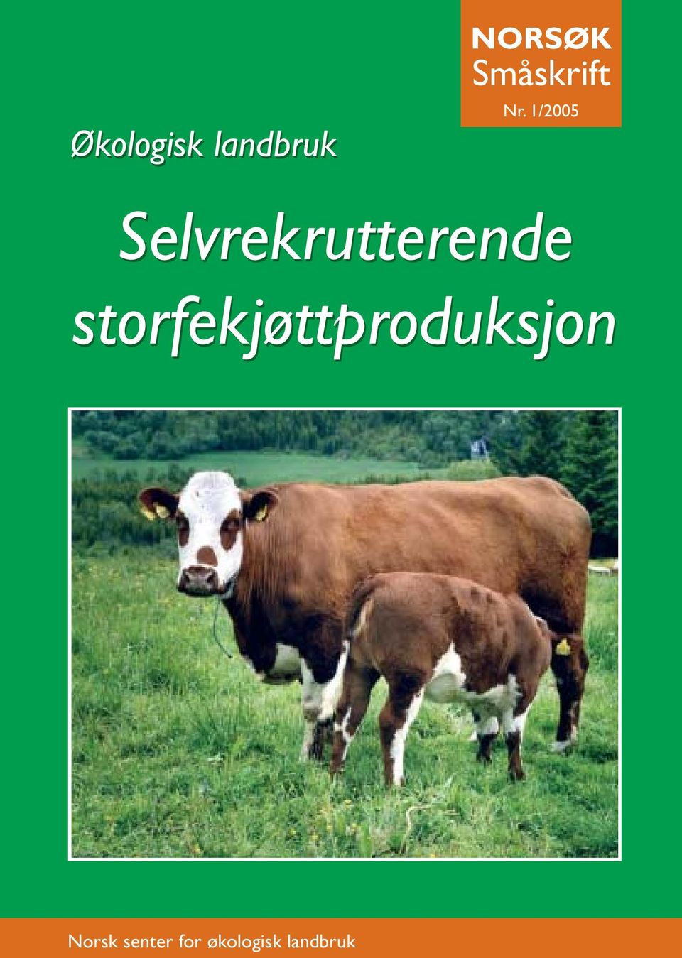 1/2005 Selvrekrutterende