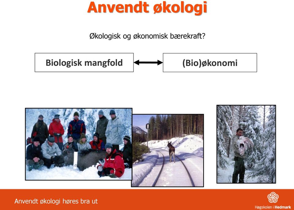 Biologisk mangfold