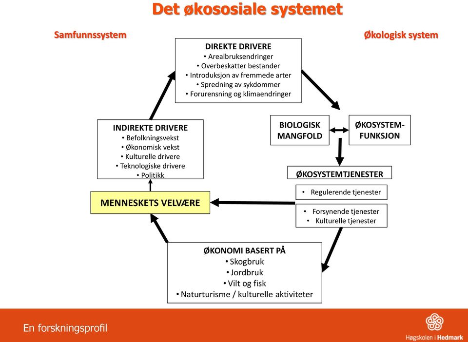 Kulturelle drivere Teknologiske drivere Politikk MENNESKETS VELVÆRE BIOLOGISK MANGFOLD ØKOSYSTEM- FUNKSJON ØKOSYSTEMTJENESTER