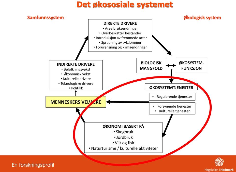 Kulturelle drivere Teknologiske drivere Politikk MENNESKERS VELVÆRE BIOLOGISK MANGFOLD ØKOSYSTEM- FUNKSJON ØKOSYSTEMTJENESTER