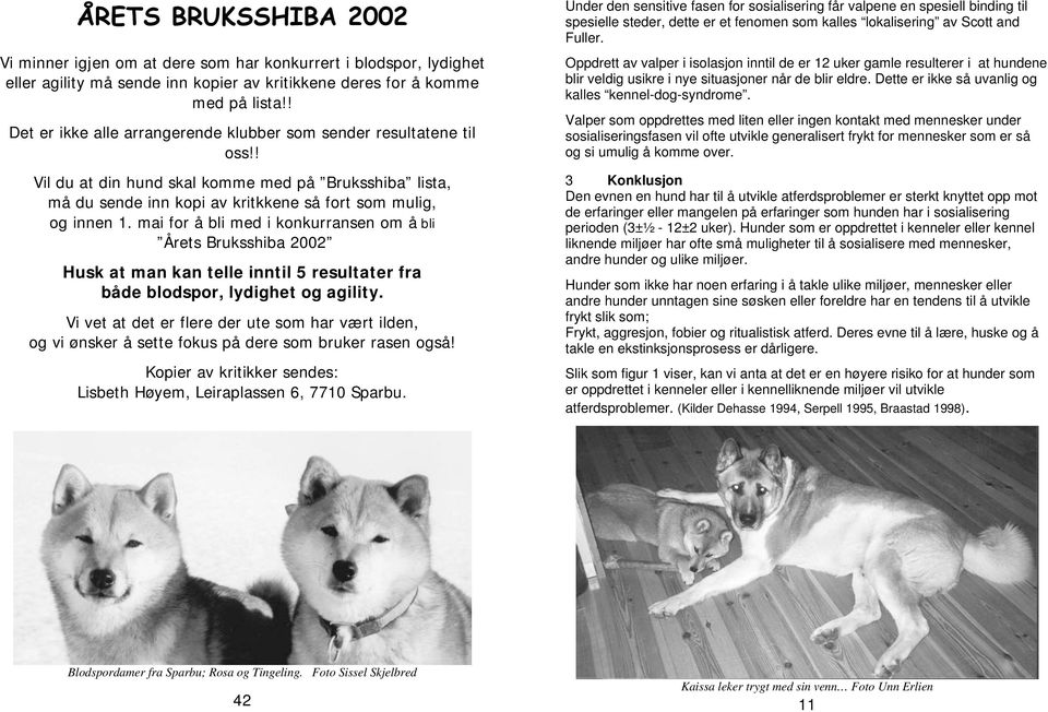 mai for å bli med i konkurransen om å bli Årets Bruksshiba 2002 Husk at man kan telle inntil 5 resultater fra både blodspor, lydighet og agility.