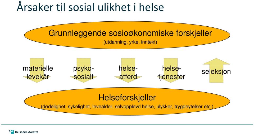 helsetjenester seleksjon Helseforskjeller (dødelighet, sykelighet, levealder,