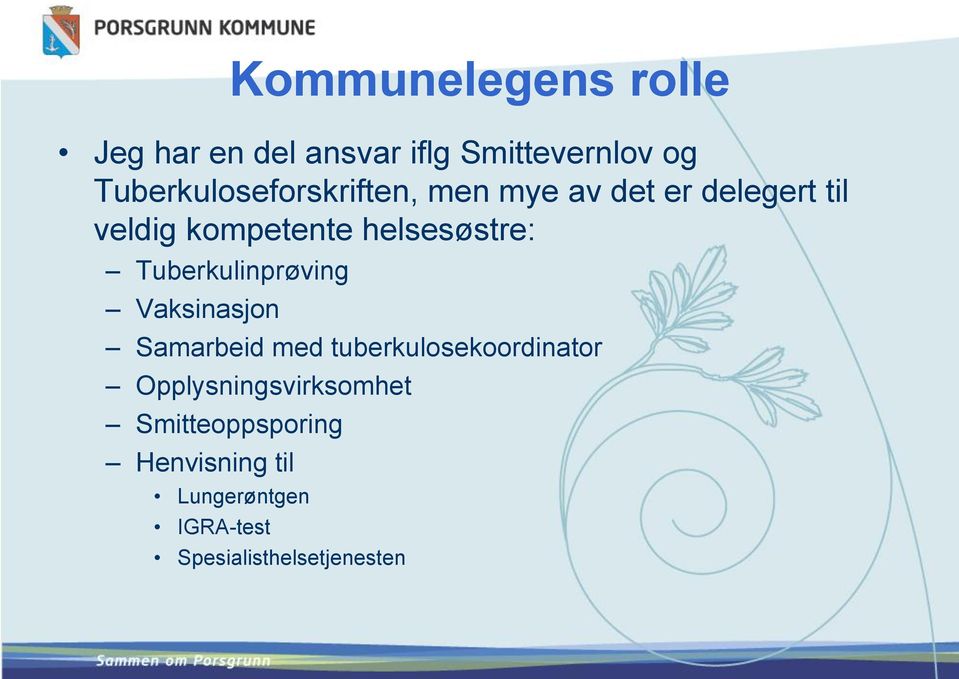 helsesøstre: Tuberkulinprøving Vaksinasjon Samarbeid med tuberkulosekoordinator