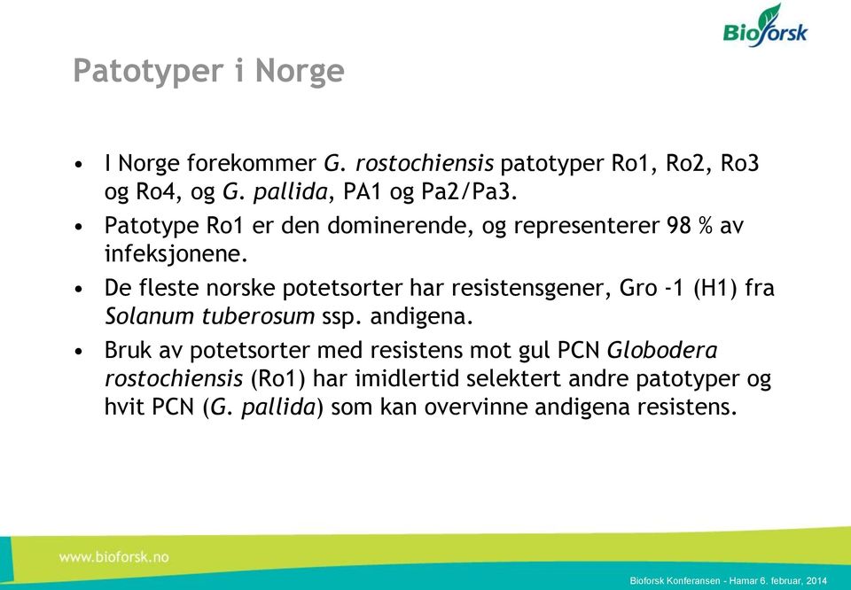De fleste norske potetsorter har resistensgener, Gro -1 (H1) fra Solanum tuberosum ssp. andigena.