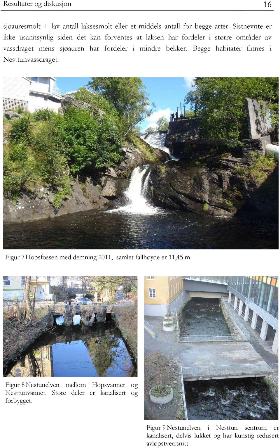 mindre bekker. Begge habitater finnes i Nesttunvassdraget. Figur 7 Hopsfossen med demning 2011, samlet fallhøyde er 11,45 m.