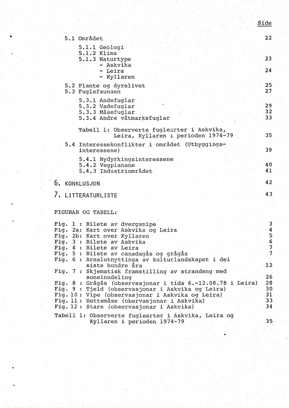 4.3 Industriområdet 6, KONKLUSJON 7, LITTERATURLISTE 35 39 40 41 42 43 FIGURAR OG TABELL: Fig. 1 : Bilete av dvergsnipe 3 Fig. 2a: Kart over Askvika og Leira 4 Fig. 2b: Kart over Kyllaren 5 Fig.