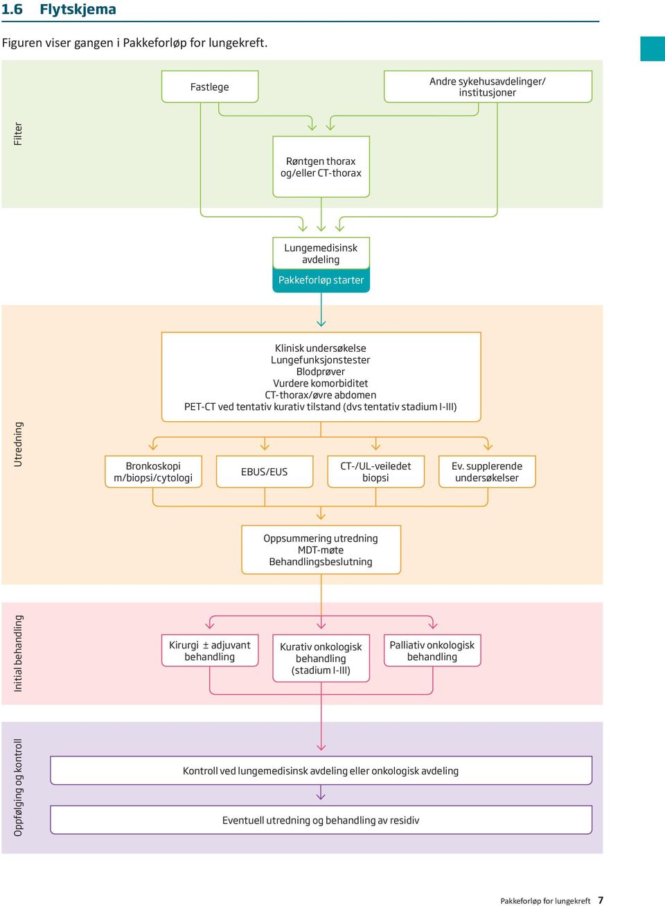 komorbiditet CT-thorax/øvre abdomen PET-CT ved tentativ kurativ tilstand (dvs tentativ stadium I-III) Utredning Bronkoskopi m/biopsi/cytologi EBUS/EUS CT-/UL-veiledet biopsi Ev.