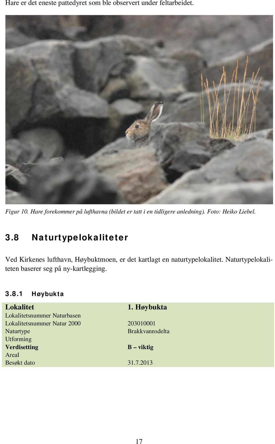 8 Naturtypelokaliteter Ved Kirkenes lufthavn, Høybuktmoen, er det kartlagt en naturtypelokalitet.