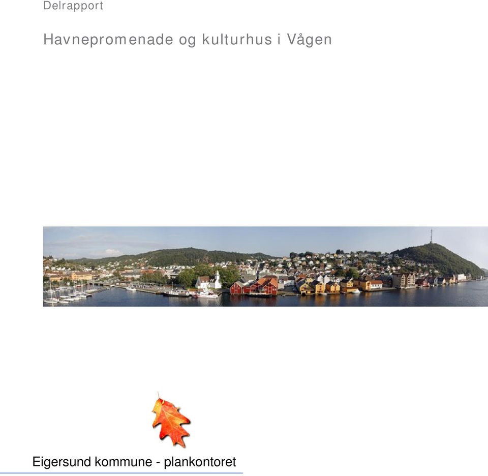 kulturhus i Vågen