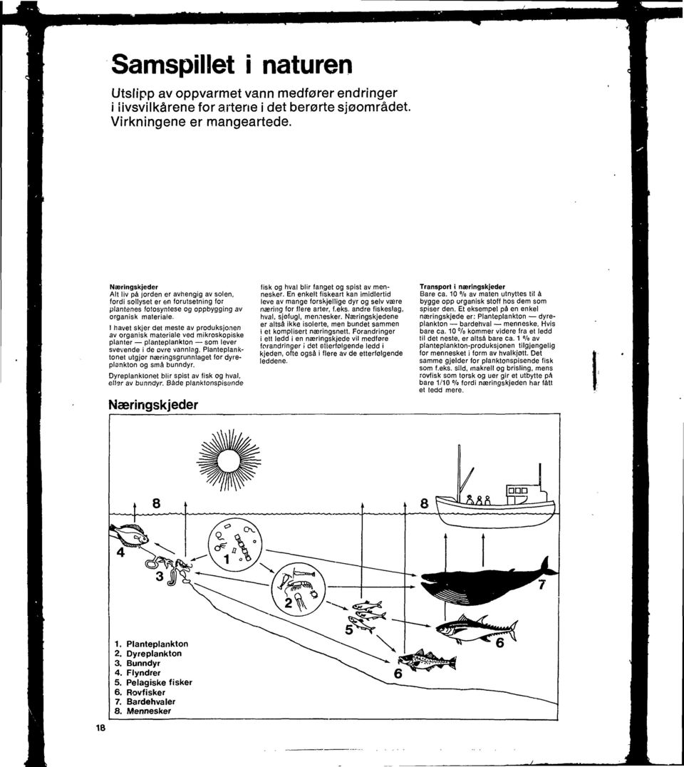 I havet skjer det meste av produksjonen av organisk materiale ved mikroskopiske planter planteplankton som lever svevende i de ovre vannlag.