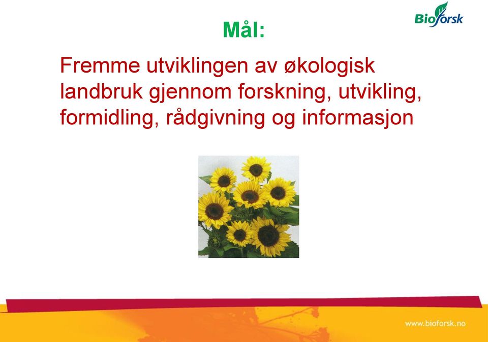 forskning, utvikling,