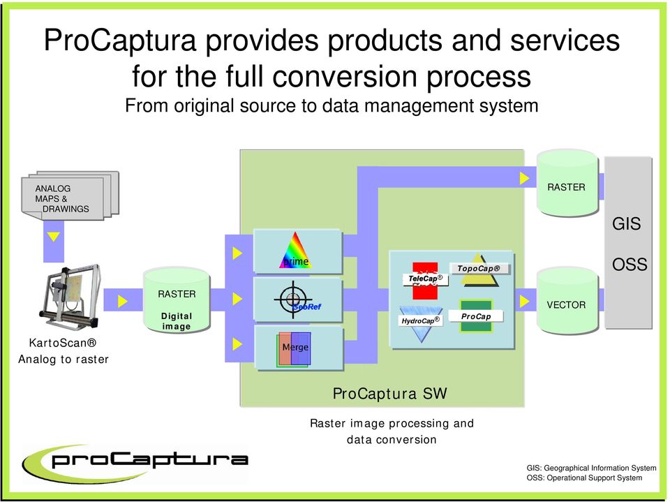 Analog to raster RASTER Digital image ProCap VECTOR ProCaptura SW Raster image