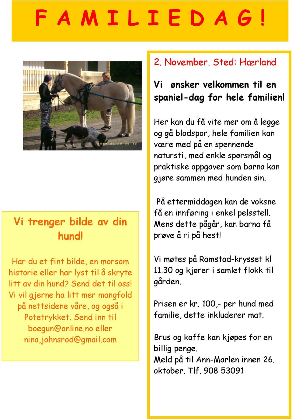 Vi trenger bilde av din hund! Har du et fint bilde, en morsom historie eller har lyst til å skryte litt av din hund? Send det til oss!