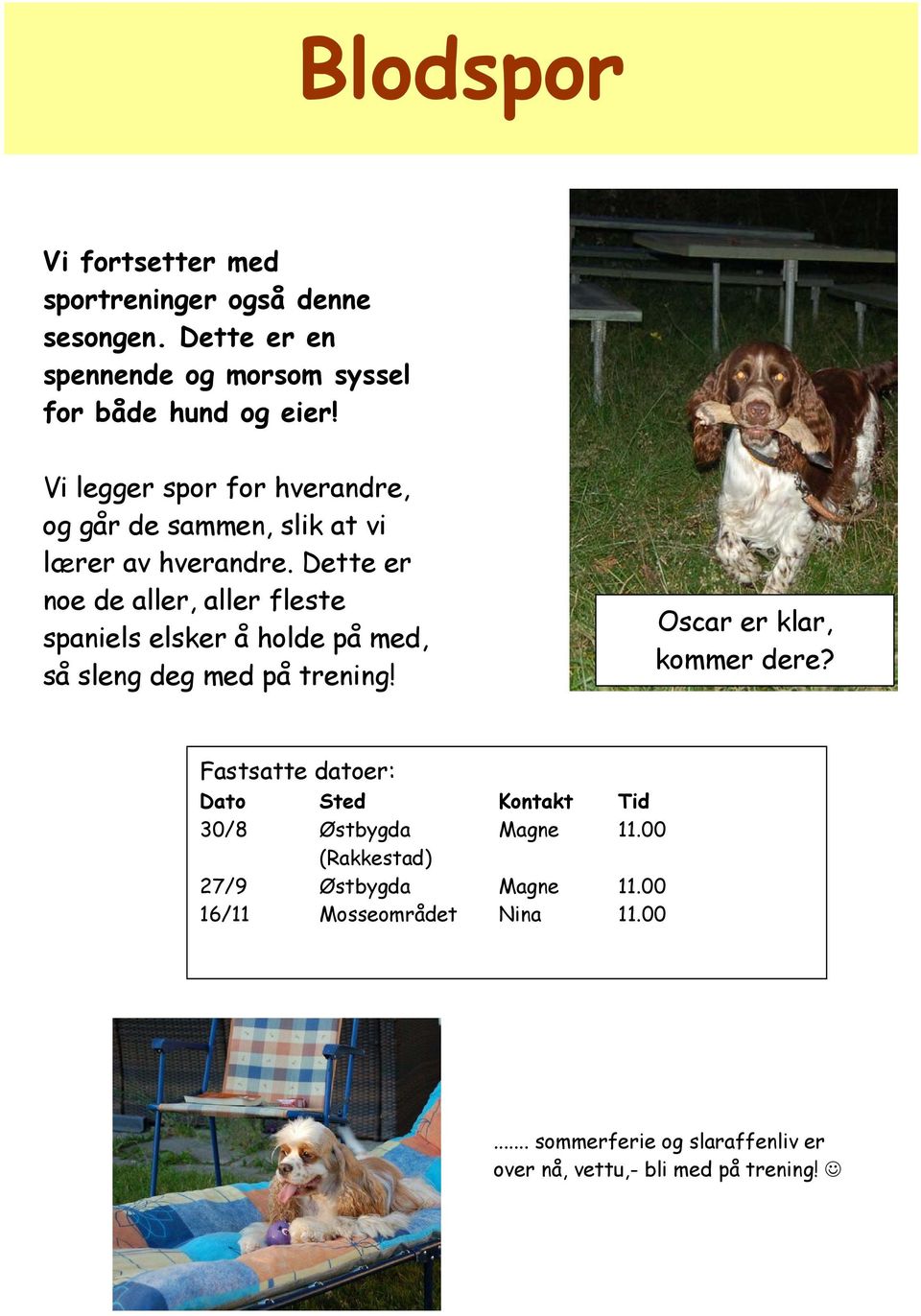 Dette er noe de aller, aller fleste spaniels elsker å holde på med, så sleng deg med på trening! Oscar er klar, kommer dere?