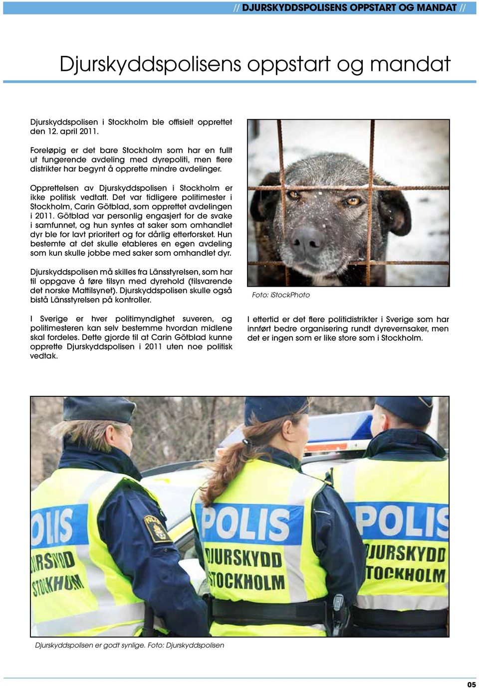 Opprettelsen av Djurskyddspolisen i Stockholm er ikke politisk vedtatt. Det var tidligere politimester i Stockholm, Carin Götblad, som opprettet avdelingen i 2011.