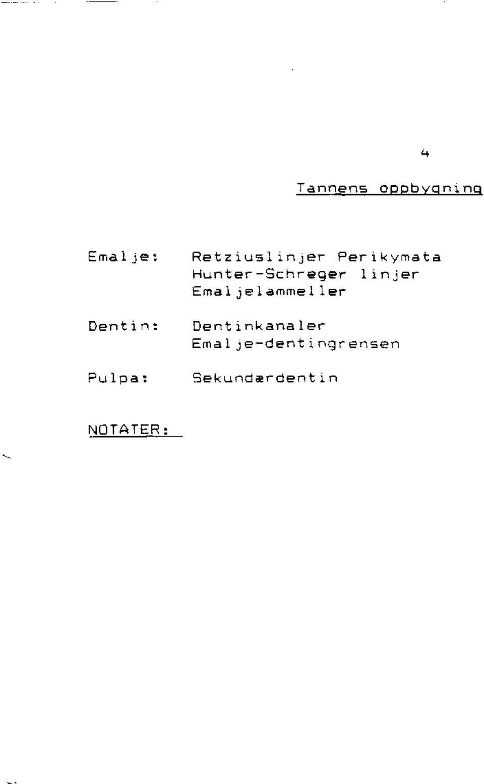 linjer Emal jelammeller Dentinkanaler