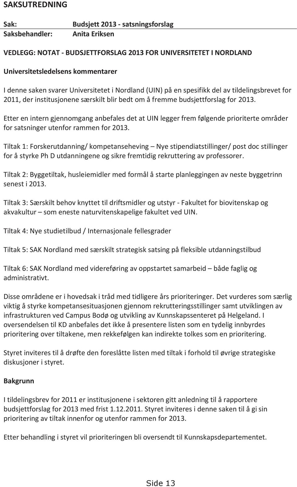 Etter en intern gjennomgang anbefales det at UIN legger frem følgende prioriterte områder for satsninger utenfor rammen for 2013.