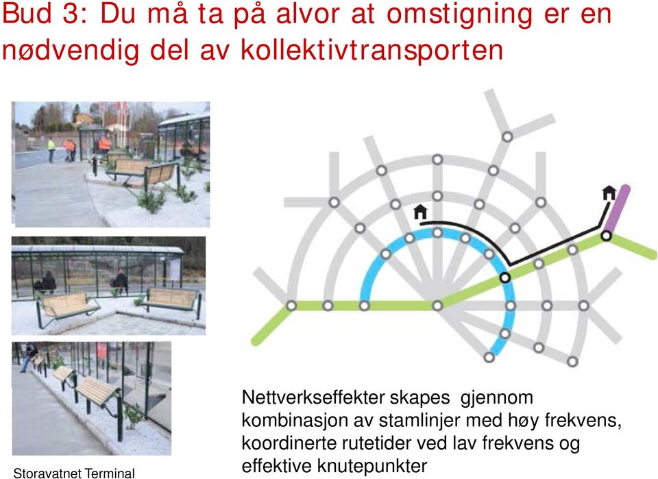 skapes gjennom kombinasjon av stamlinjer med høy frekvens,