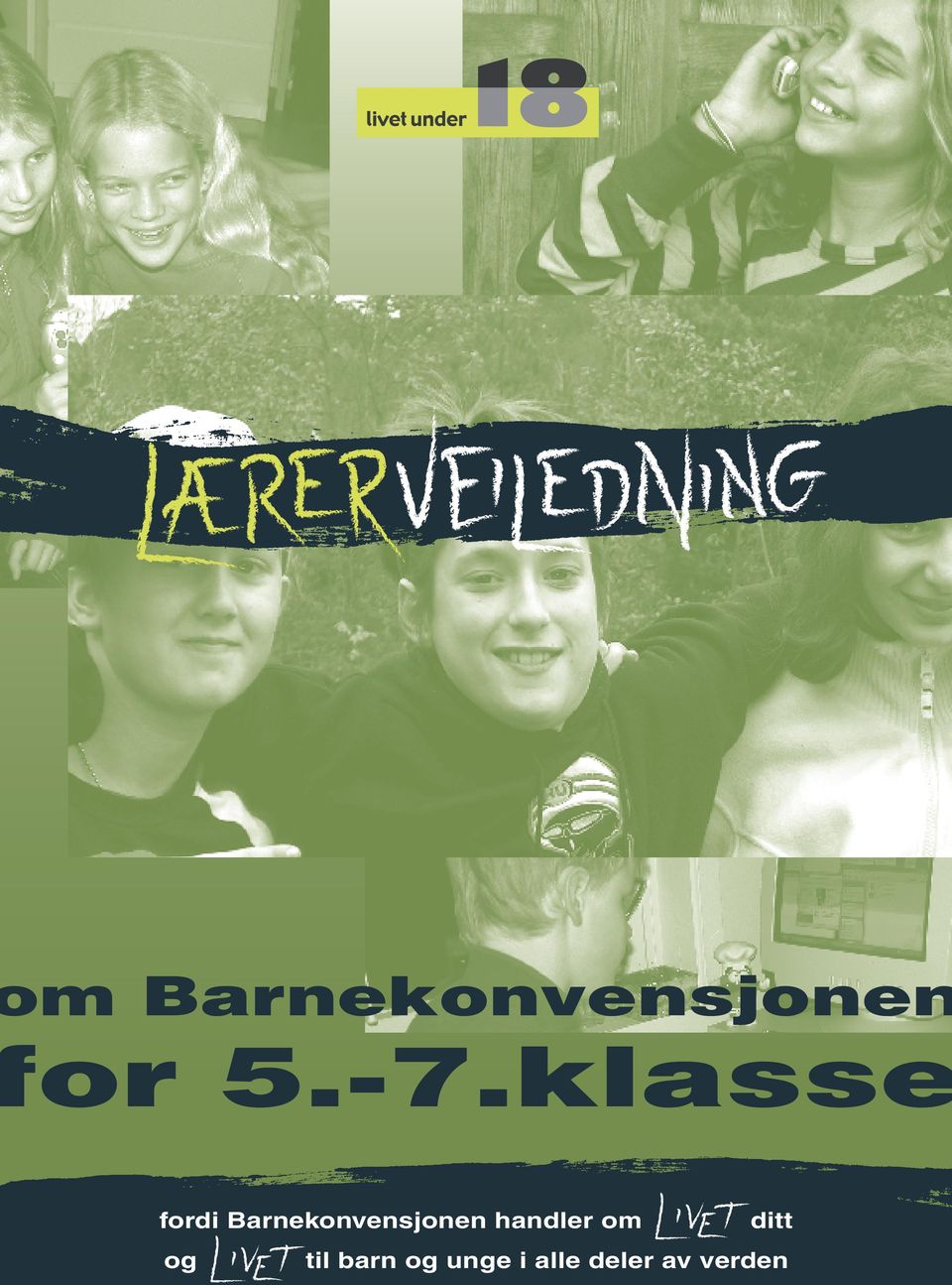 Barnekonvensjonen handler om