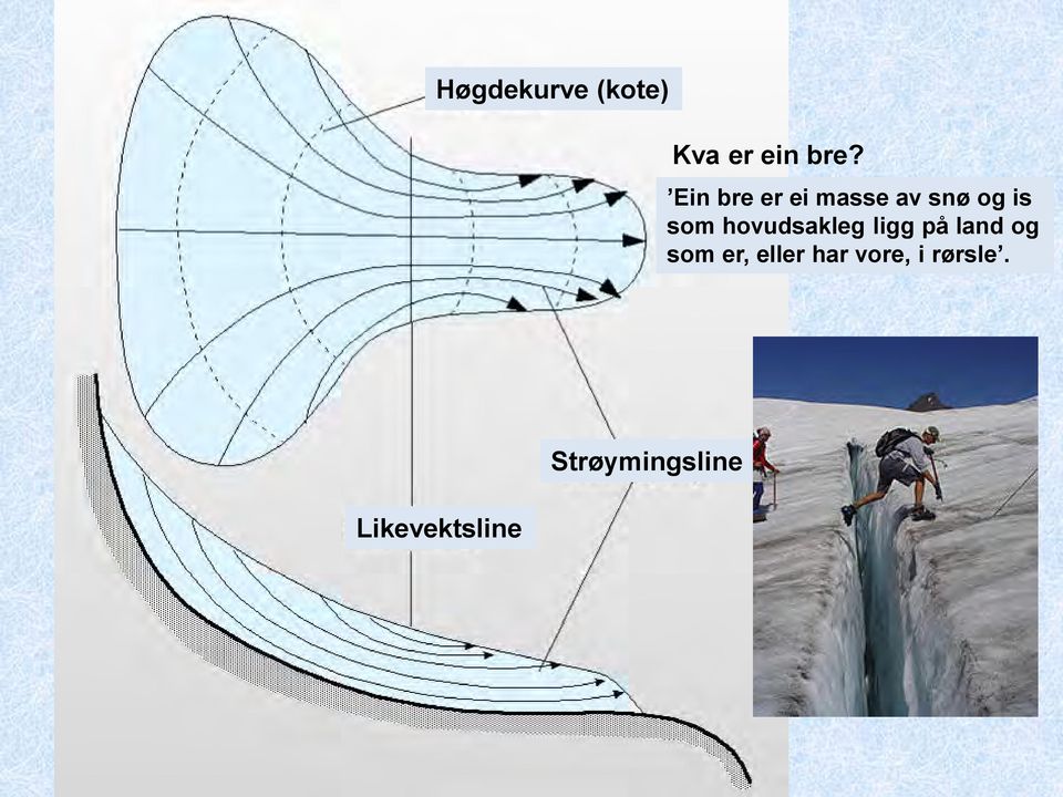 hovudsakleg ligg på land og som er,