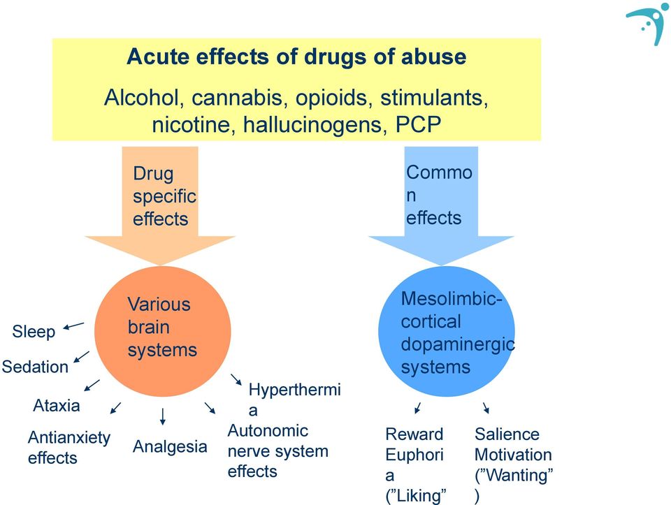 Antianxiety effects Various brain systems Analgesia Hyperthermi a Autonomic nerve system