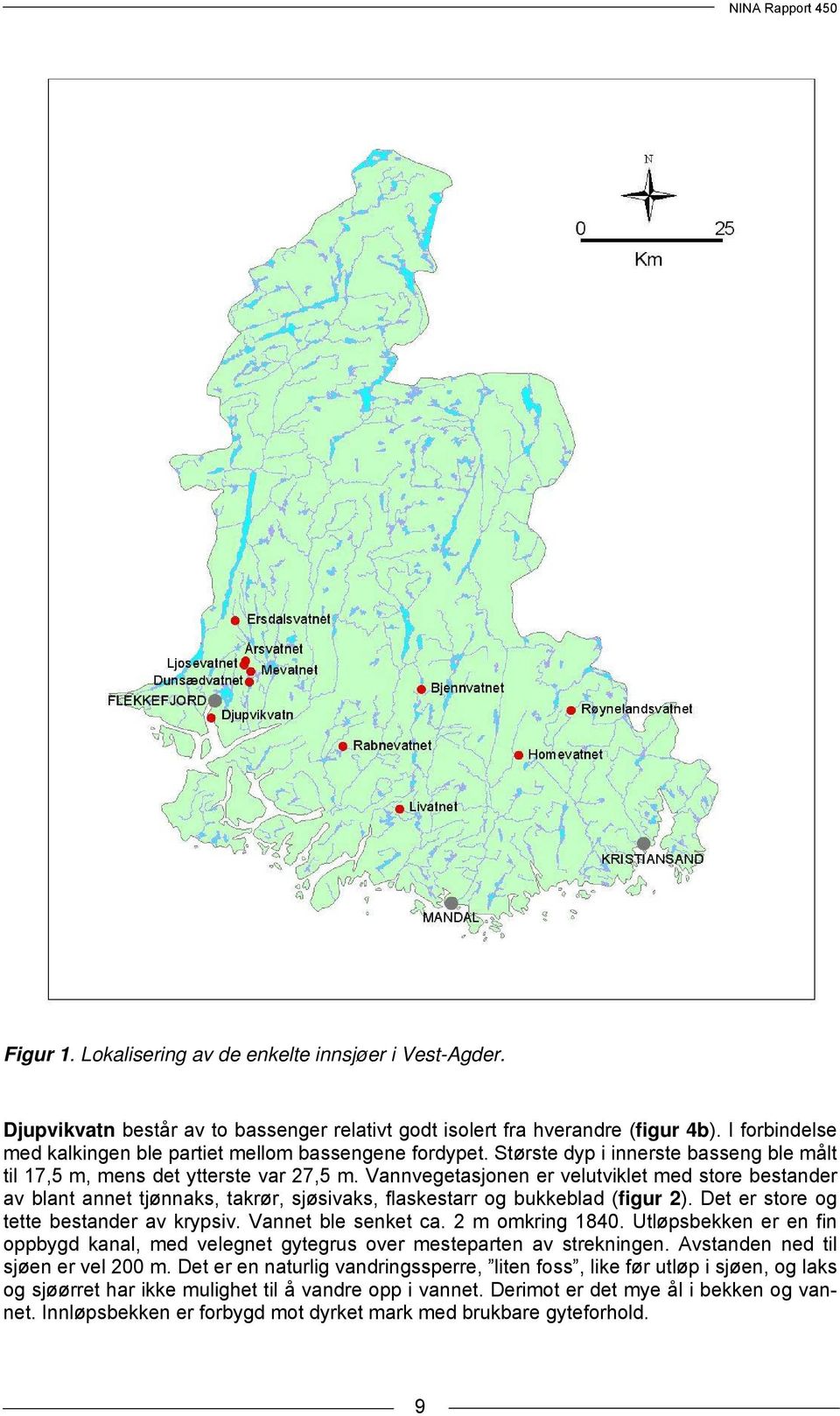 Vannvegetasjonen er velutviklet med store bestander av blant annet tjønnaks, takrør, sjøsivaks, flaskestarr og bukkeblad (figur 2). Det er store og tette bestander av krypsiv. Vannet ble senket ca.