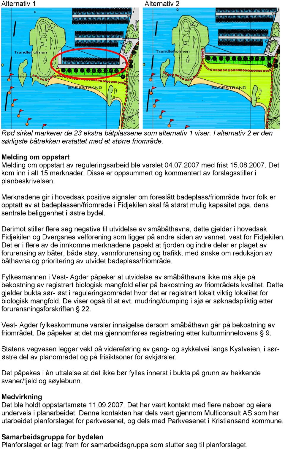 Disse er oppsummert og kommentert av forslagsstiller i planbeskrivelsen.