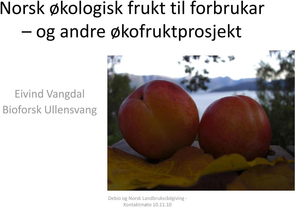 økofruktprosjekt Eivind