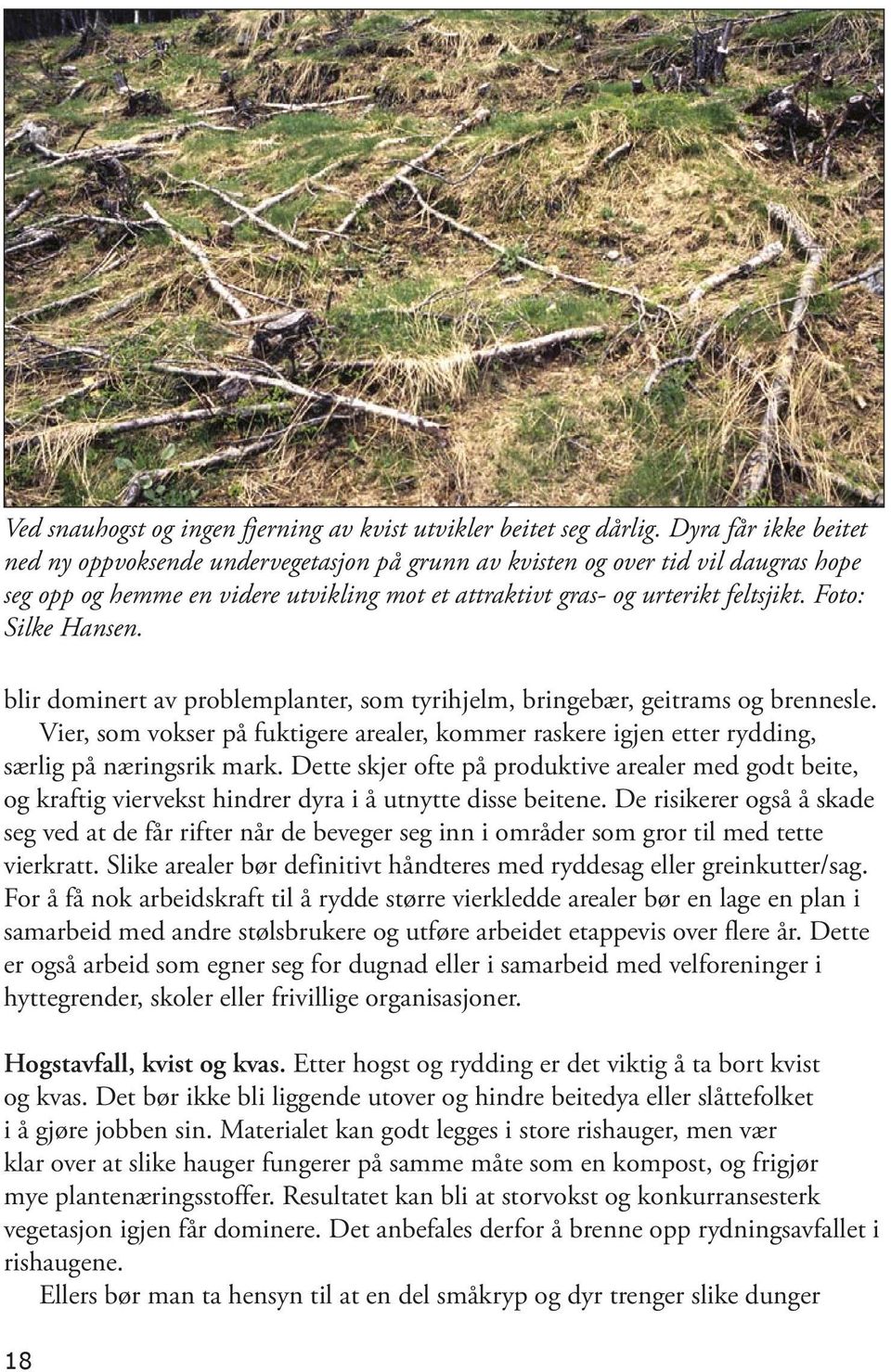 Foto: Silke Hansen. blir dominert av problemplanter, som tyrihjelm, bringebær, geitrams og brennesle.