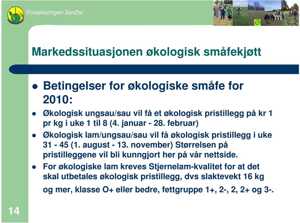 februar) Økologisk lam/ungsau/sau vil få økologisk pristillegg i uke 31-45 (1. august - 13.
