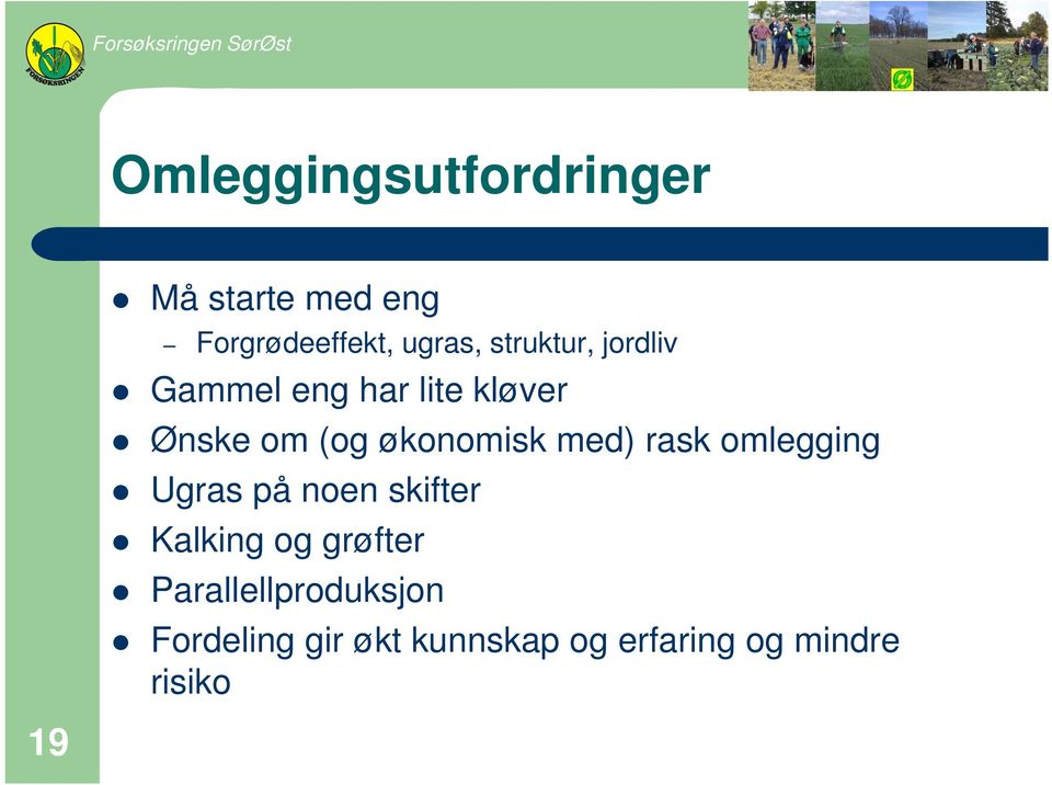 med) rask omlegging Ugras på noen skifter Kalking og grøfter