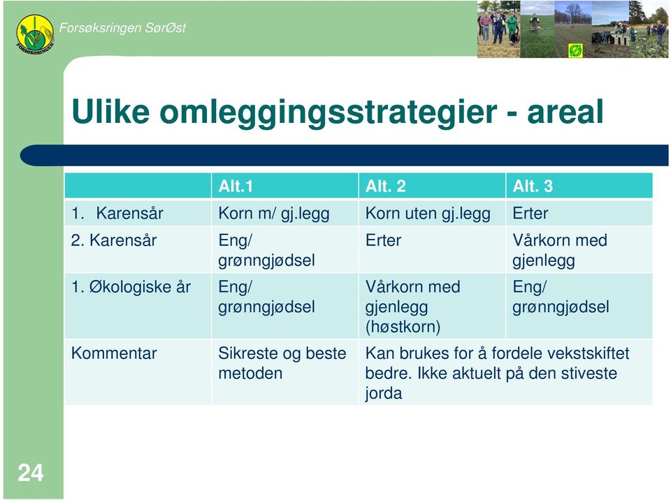 Økologiske år Eng/ grønngjødsel Kommentar Sikreste og beste metoden Erter Vårkorn med