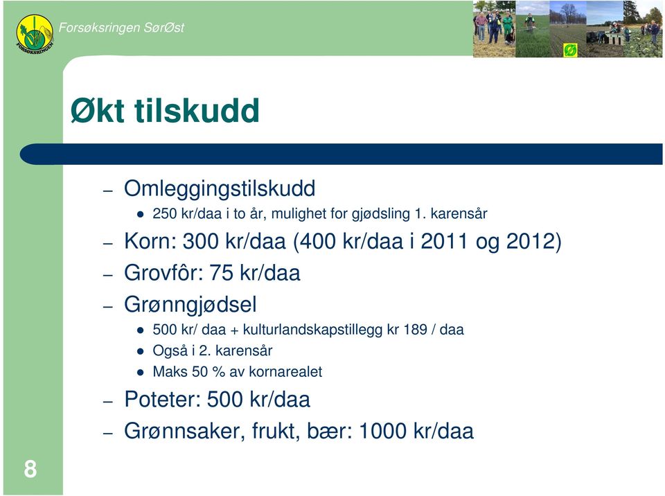 Grønngjødsel 500 kr/ daa + kulturlandskapstillegg kr 189 / daa Også i 2.