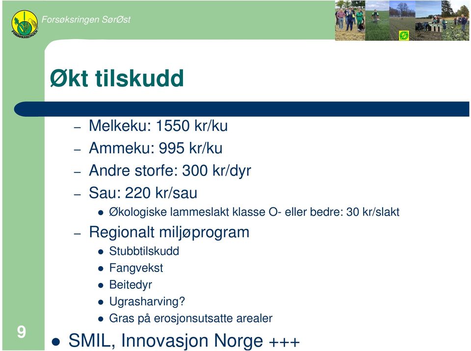 bedre: 30 kr/slakt Regionalt miljøprogram Stubbtilskudd Fangvekst