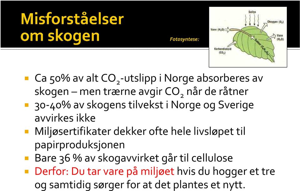 dekker ofte hele livsløpet til papirproduksjonen Bare 36 % av skogavvirket går til