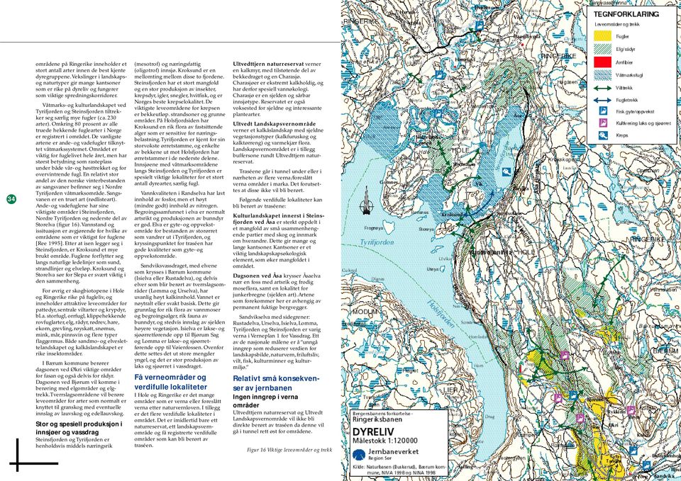 Våtmarks- og kulturlandskapet ved Tyrifjorden og Steinsfjorden tiltrekker seg særlig mye fugler (ca. 230 arter).