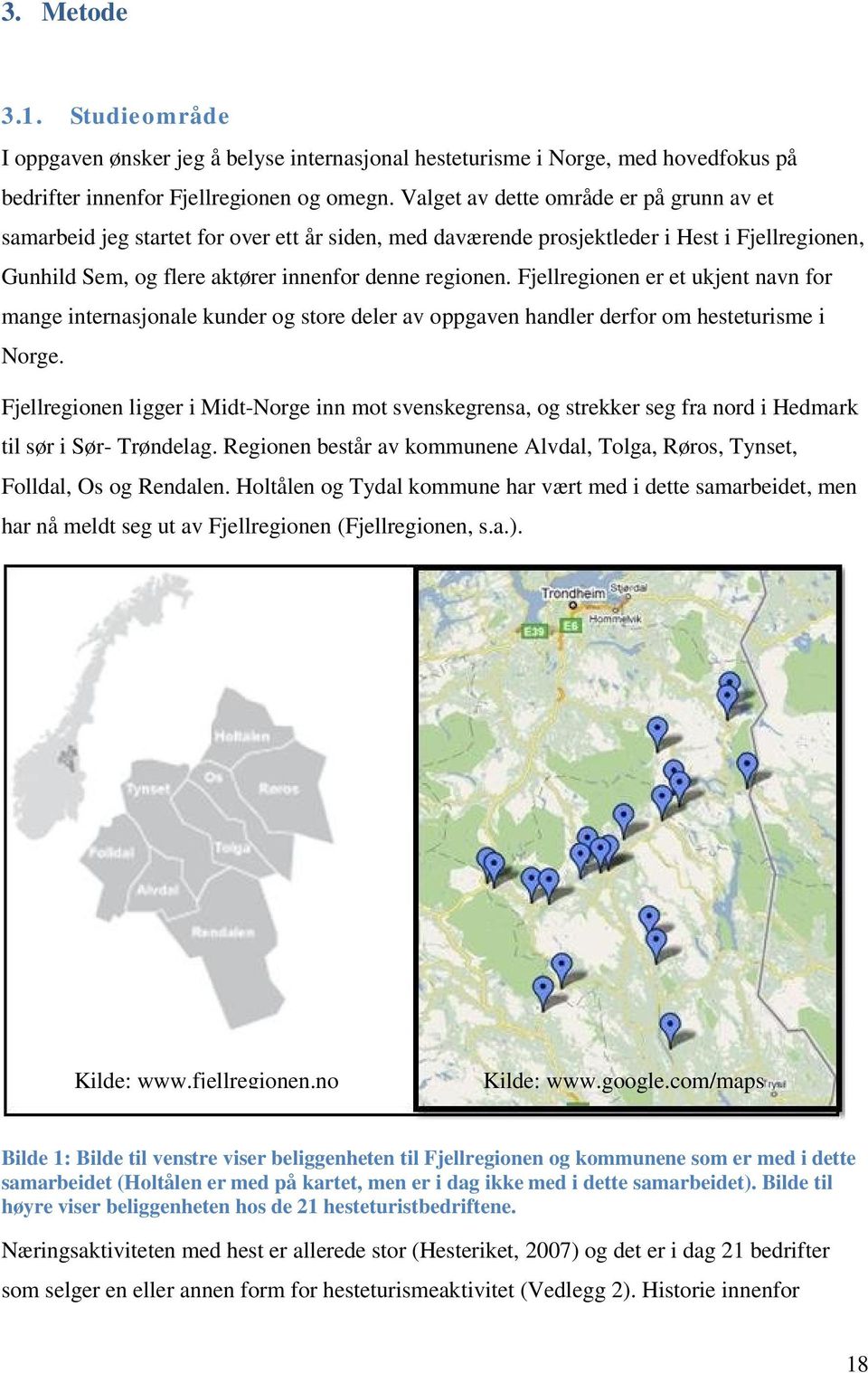 Fjellregionen er et ukjent navn for mange internasjonale kunder og store deler av oppgaven handler derfor om hesteturisme i Norge.