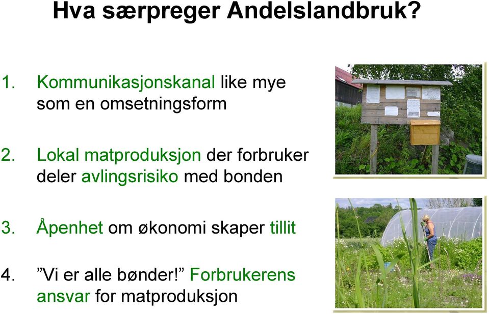 Lokal matproduksjon der forbruker deler avlingsrisiko med